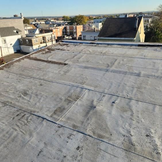 Reading a Flat Roof Moisture Survey — Budget Planning