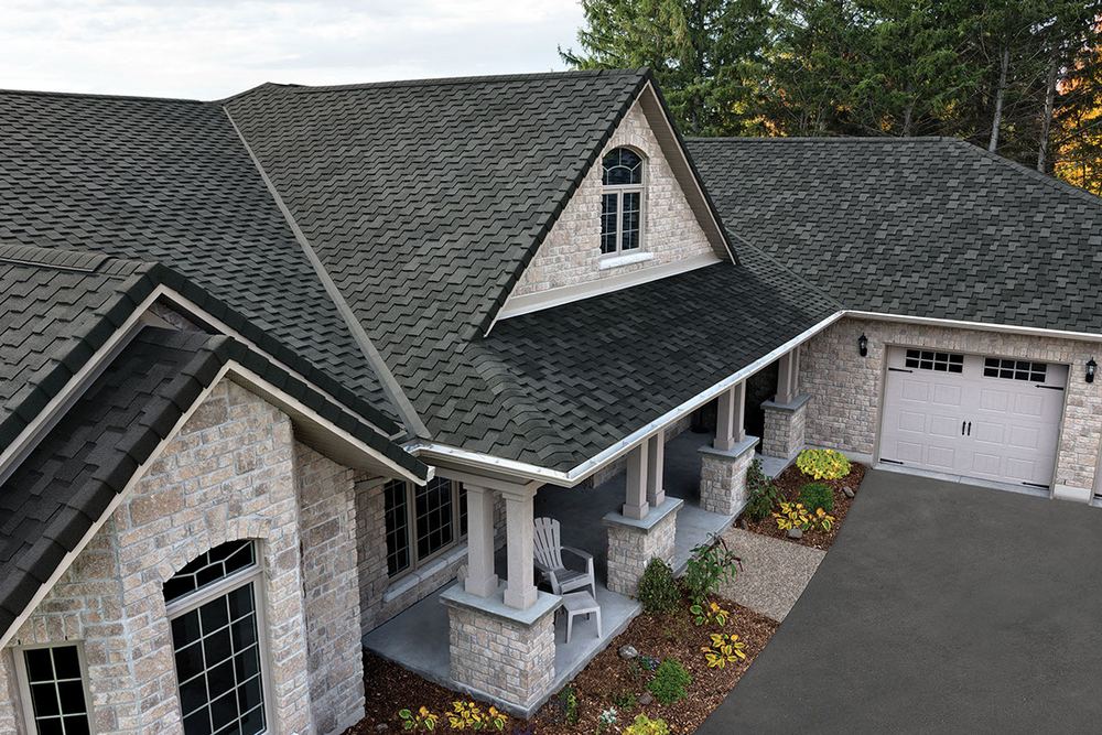 Tree Overhang and Roof Life — Before You Commit