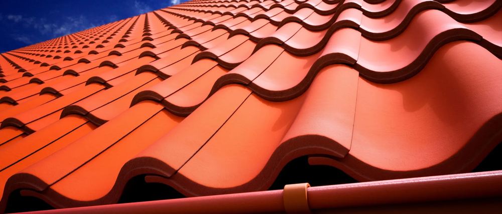 Bird Stops and Eave Closures Explained — Costs and Timelines