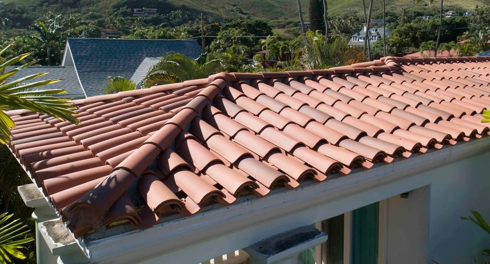 Bird Stops and Eave Closures Explained — Questions to Ask