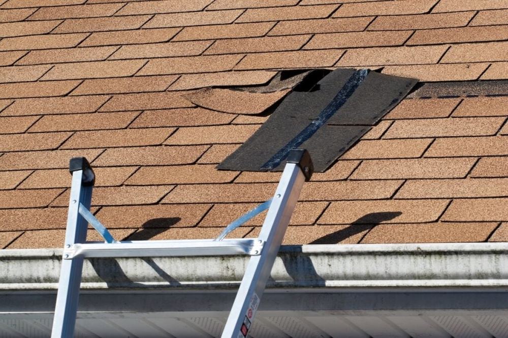 Documenting Storm Damage for a Claim in North Hollywood (Part 3)