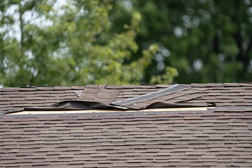 Documenting Storm Damage for a Claim in the Hollywood Hills (Part 4)