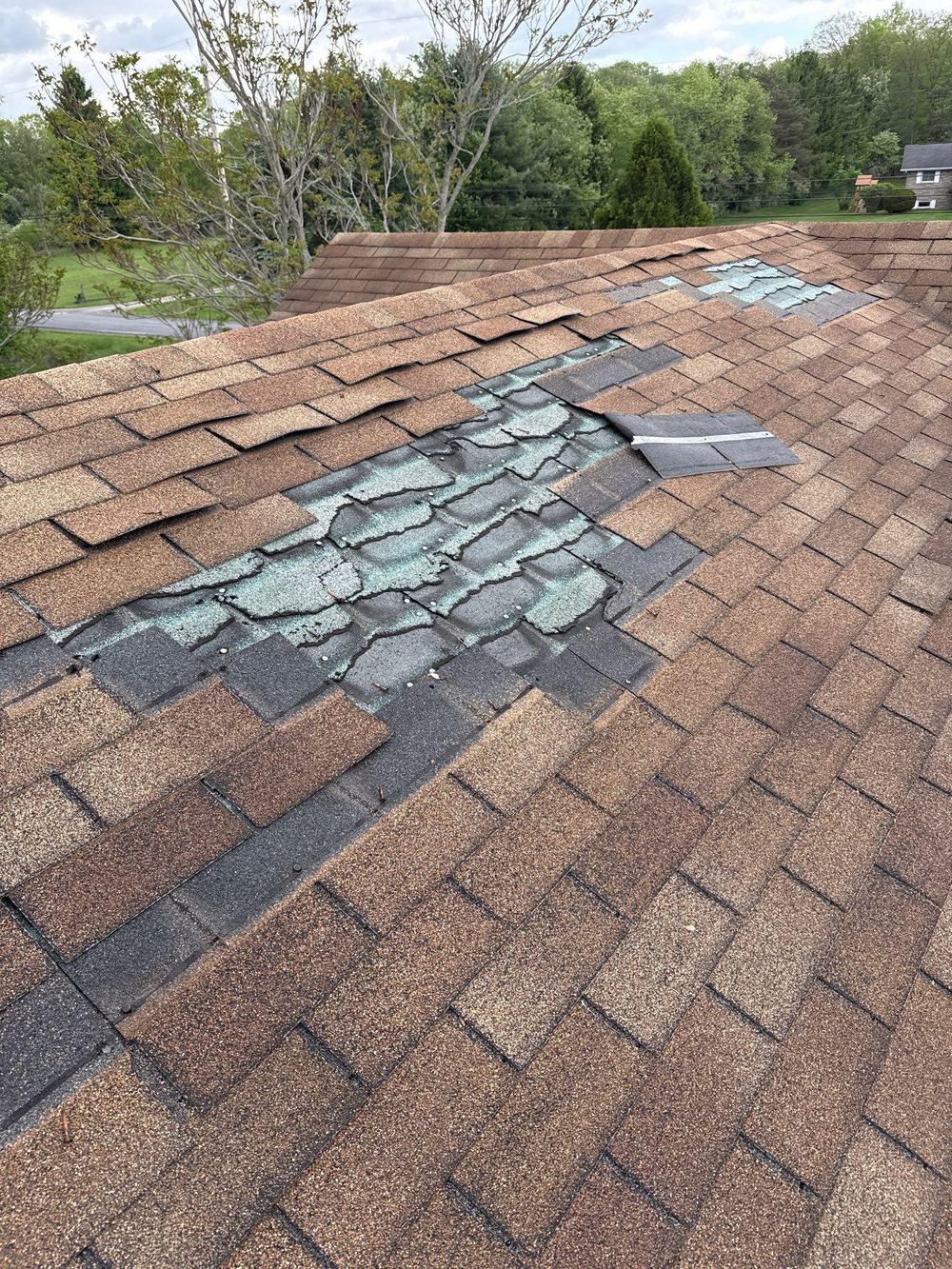 Wind Damage: What Adjusters Look For — Homeowner Checklist