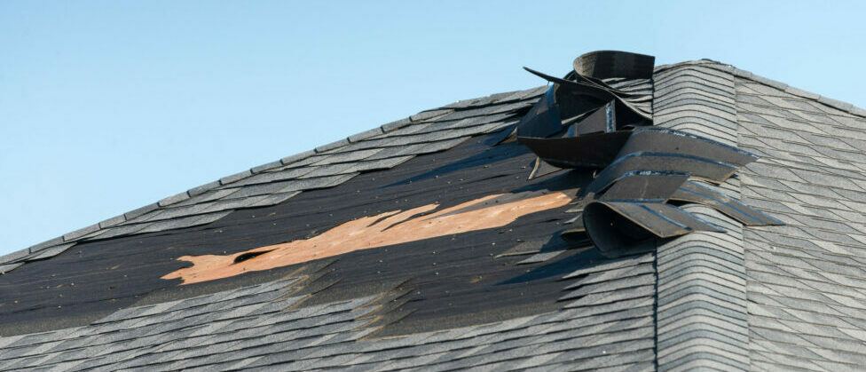 Wind Damage: What Adjusters Look For — Quick Reference