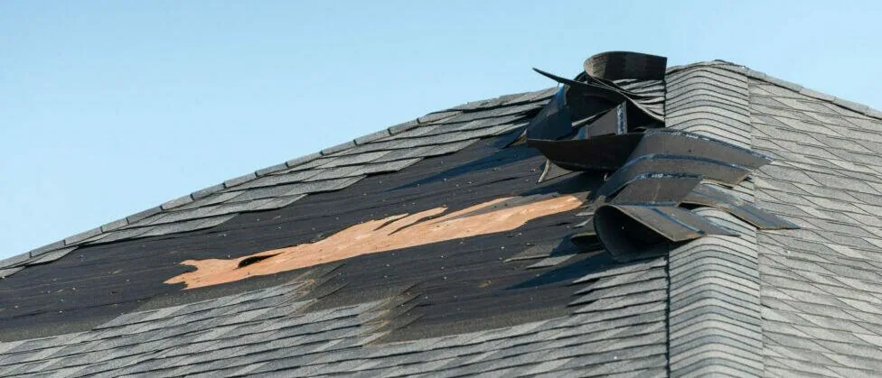 Documenting Storm Damage for a Claim in Sherman Oaks corridor (Part 2)